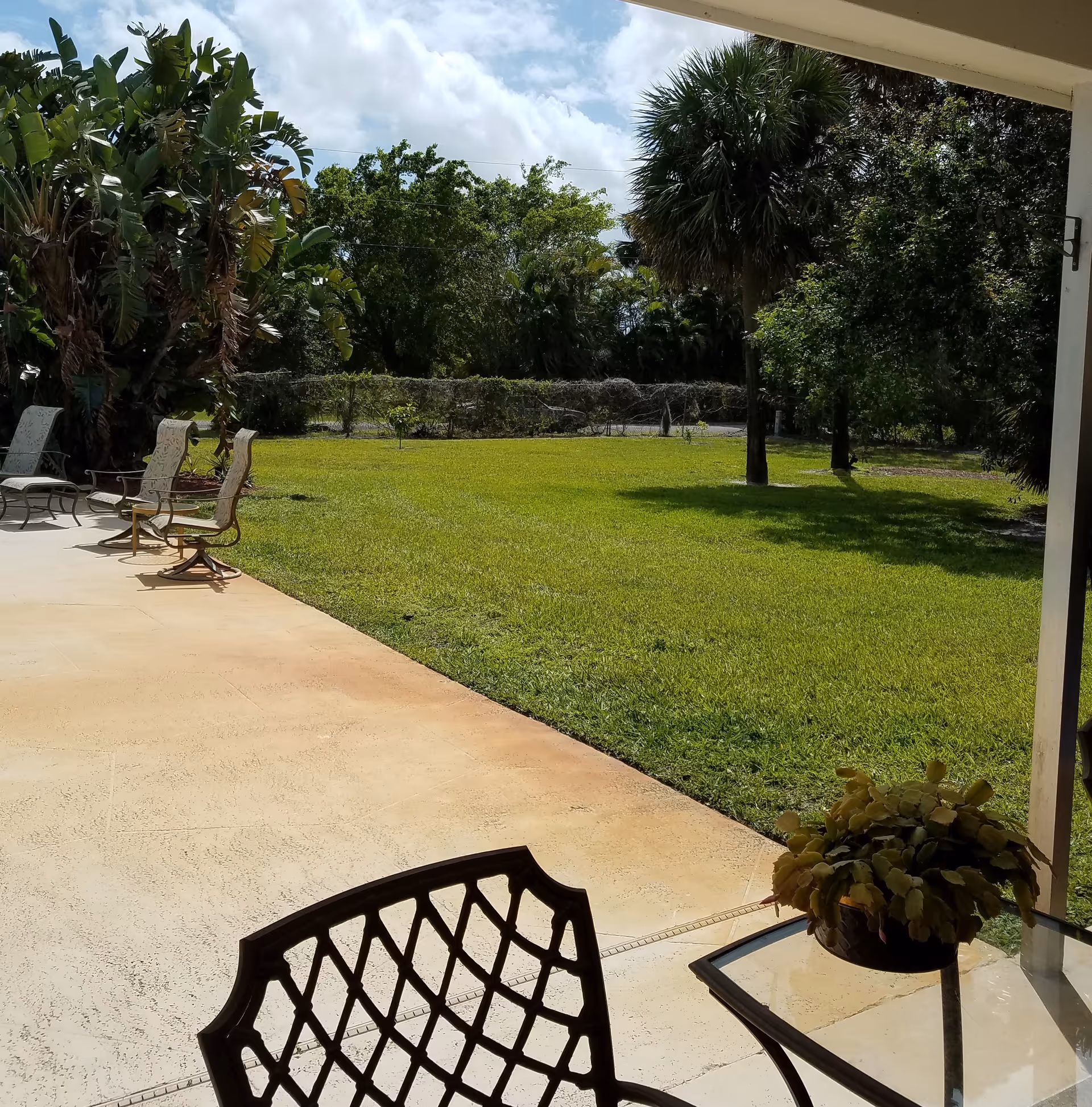 View of a spacious backyard with green grass, several trees, and a concrete patio area with outdoor chairs and a glass table with a potted plant. The sky is partly cloudy.