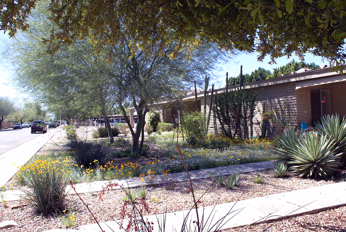 Outdoor view of a senior living facility with desert landscaping including various shrubs, cacti, and trees along a sidewalk. A single-story building with brick walls is visible on the right side, and a street with parked cars is on the left under a clear blue sky.