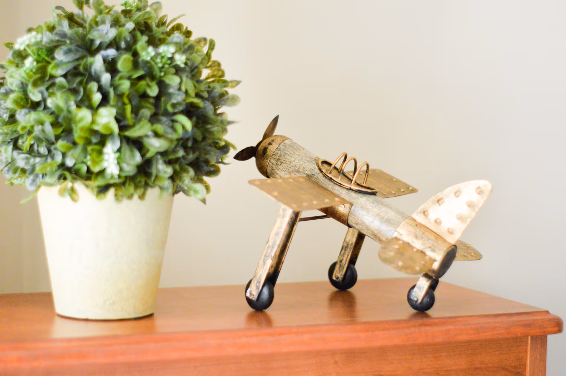 A small decorative green potted plant and a vintage-style metal toy airplane placed on a wooden surface against a plain light-colored wall.