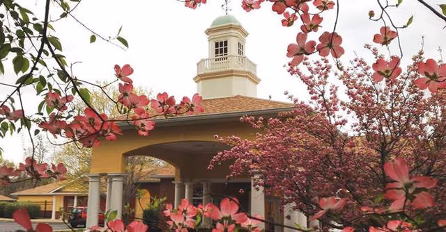 Entrance of a building with a covered portico supported by columns, surrounded by blooming pink flowering trees.
