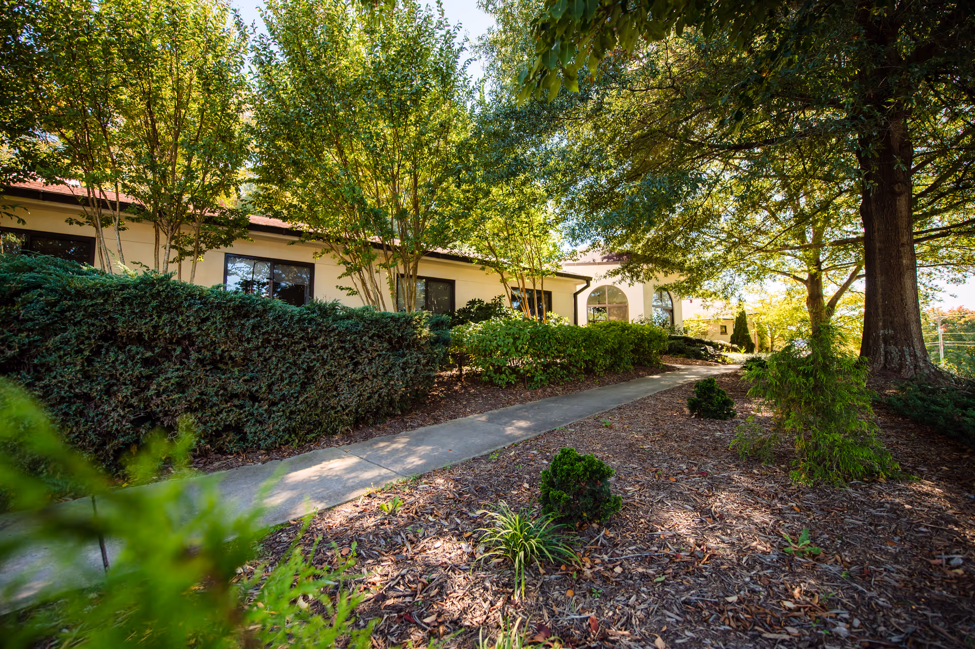 A sunny outdoor pathway leading to a building surrounded by lush green trees and bushes at Pisgah Valley Retirement Community.