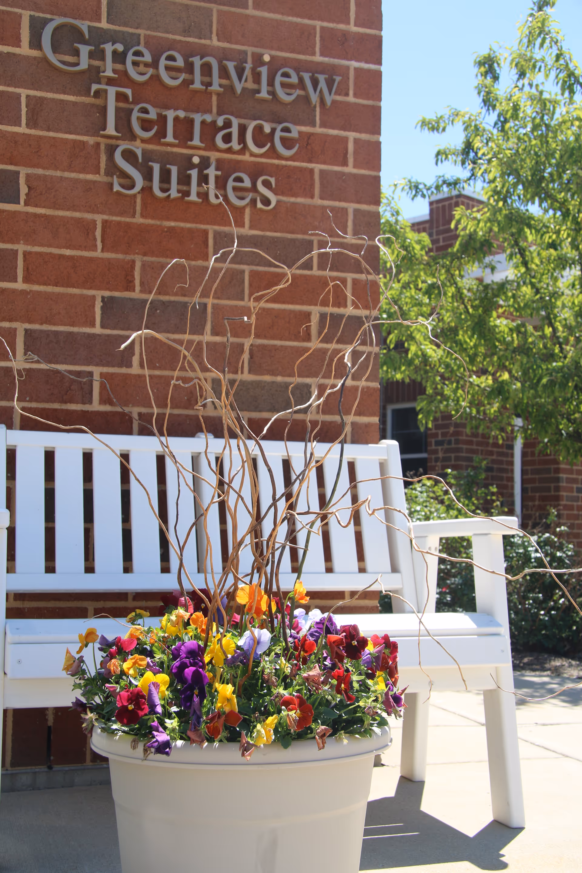 White bench and large flower pot with colorful pansies in front of a brick wall sign reading "Greenview Terrace Suites".