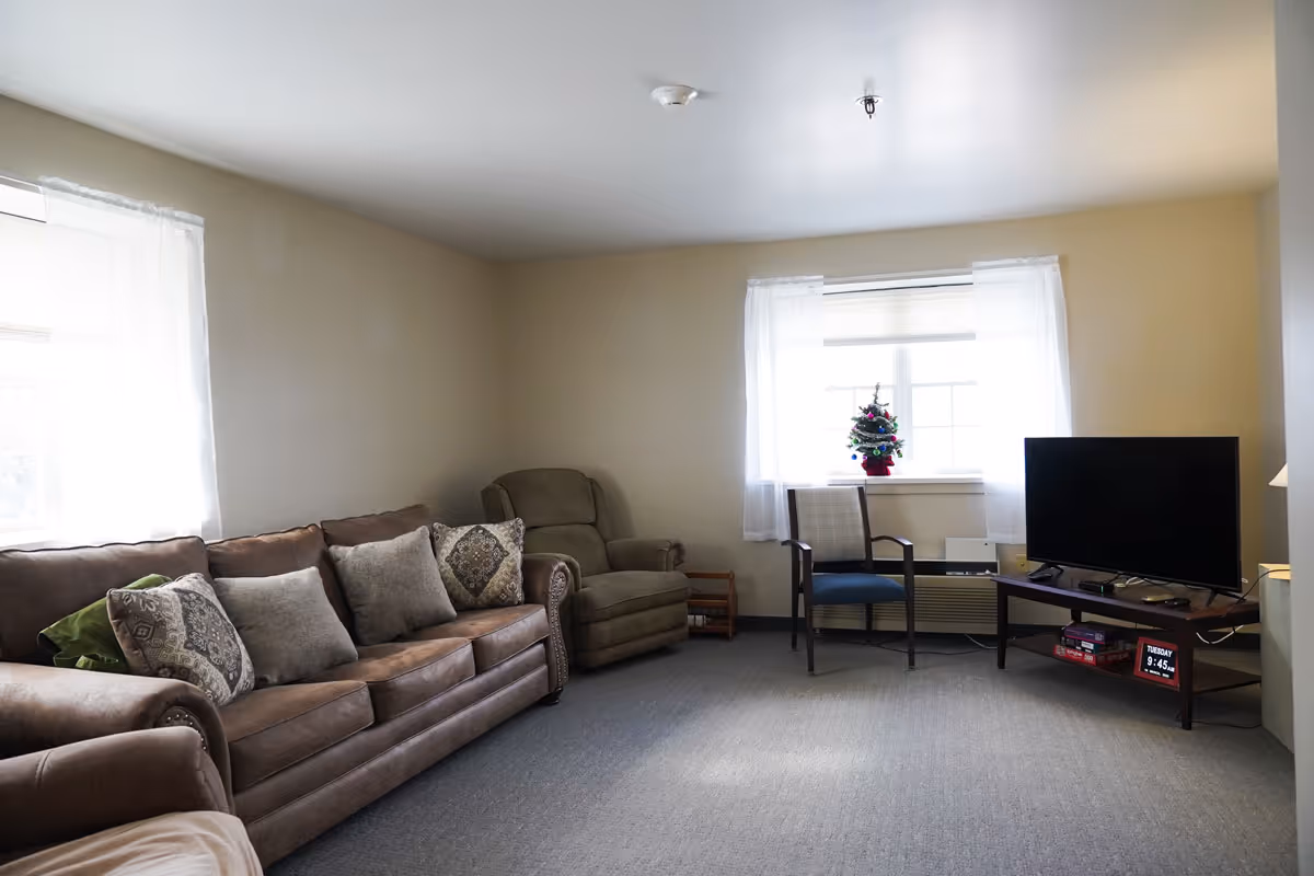 A living room with a brown sofa adorned with multiple cushions, a beige armchair, a wooden chair with blue seat cushion, and a TV on a wooden stand. The room has two windows with white curtains, one of which has a small decorated Christmas tree on the windowsill. The floor is carpeted in gray.