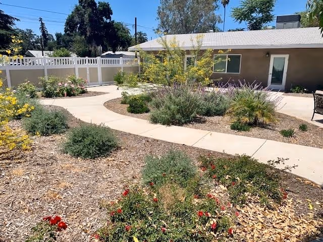 Outdoor garden area with a curved concrete walkway surrounded by various shrubs, flowering plants, and mulch. A single-story building with a white door and window is visible in the background, along with a white fence and trees under a clear blue sky.