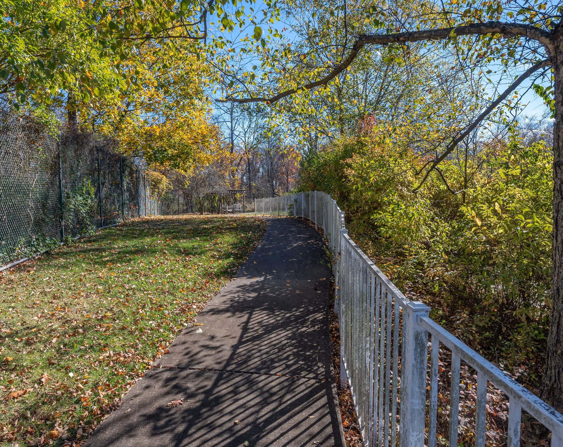 A paved pathway bordered by a white metal fence on the right and a chain-link fence on the left, surrounded by green and yellow autumn foliage under a clear blue sky.