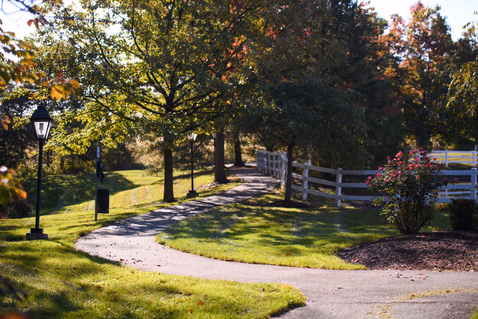 A winding paved pathway through a green outdoor area with trees, lamp posts, a white wooden fence, and a flowering bush under sunlight.