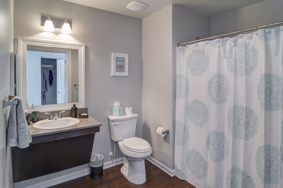 A clean bathroom with a white toilet, a sink with a dark wooden vanity, a large mirror above the sink, a towel hanging on the wall, and a shower with a white curtain featuring a blue circular pattern. The walls are painted light gray and there is a framed picture above the toilet.