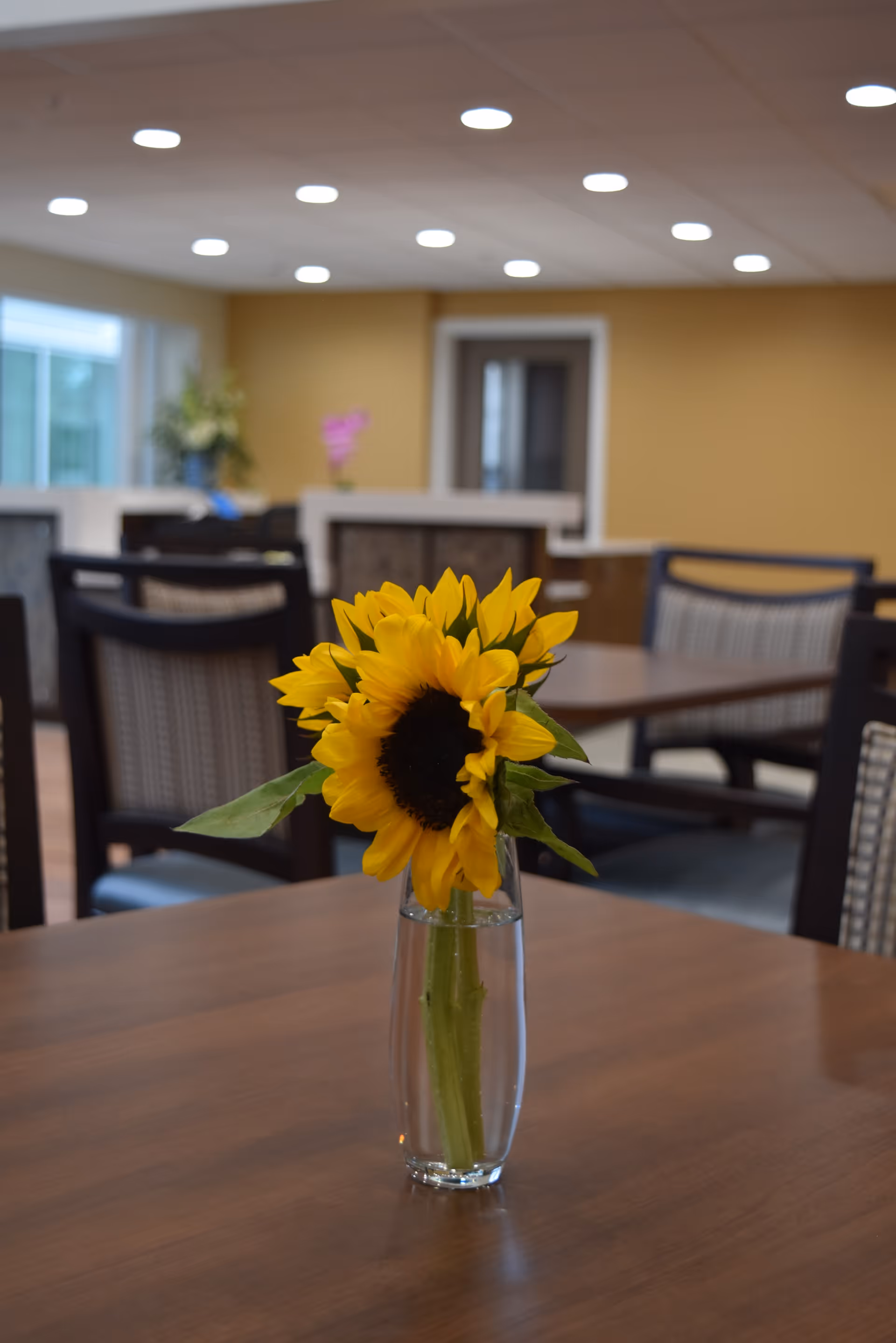 A close-up of a sunflower in a clear glass vase filled with water, placed on a wooden table in a dining area with multiple tables and chairs. The background shows a softly lit room with beige walls and ceiling lights.