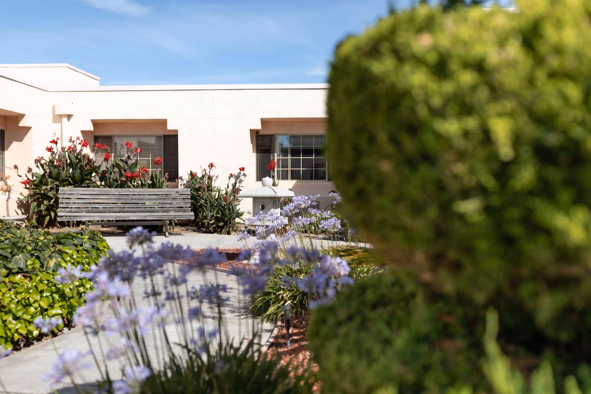 Outdoor garden area at Mission de la Casa Nursing and Rehabilitation Center with a wooden bench, flowering plants including red and purple flowers, trimmed bushes, and a clear blue sky.