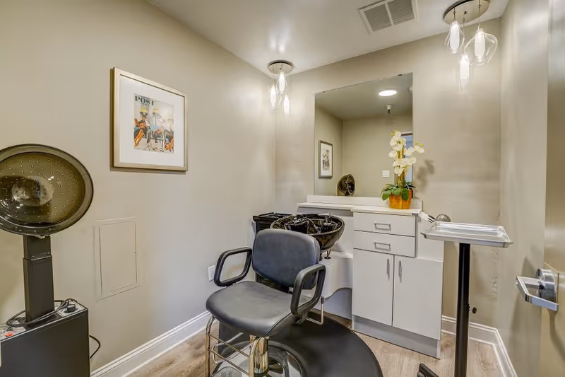 A small hair salon room with a black salon chair in front of a white cabinet and a black hair washing sink. There is a large mirror above the cabinet, a potted plant with white flowers on the counter, and two pendant lights hanging from the ceiling. A framed picture is on the wall, and a hair dryer hood is positioned to the left side of the chair.