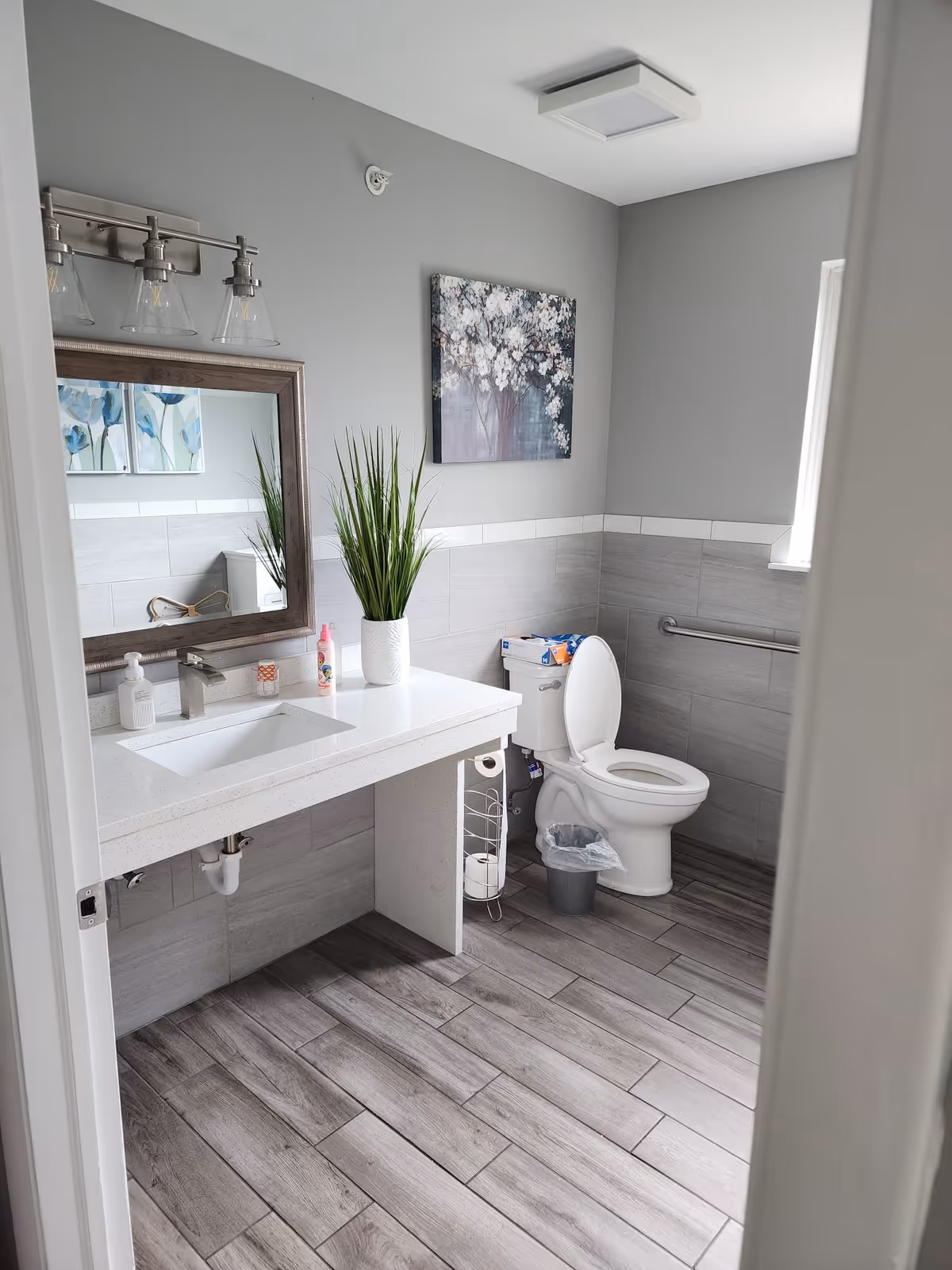 Modern accessible bathroom with a sink and mirror on the left, decorative plant and wall art, and a toilet with a grab bar.