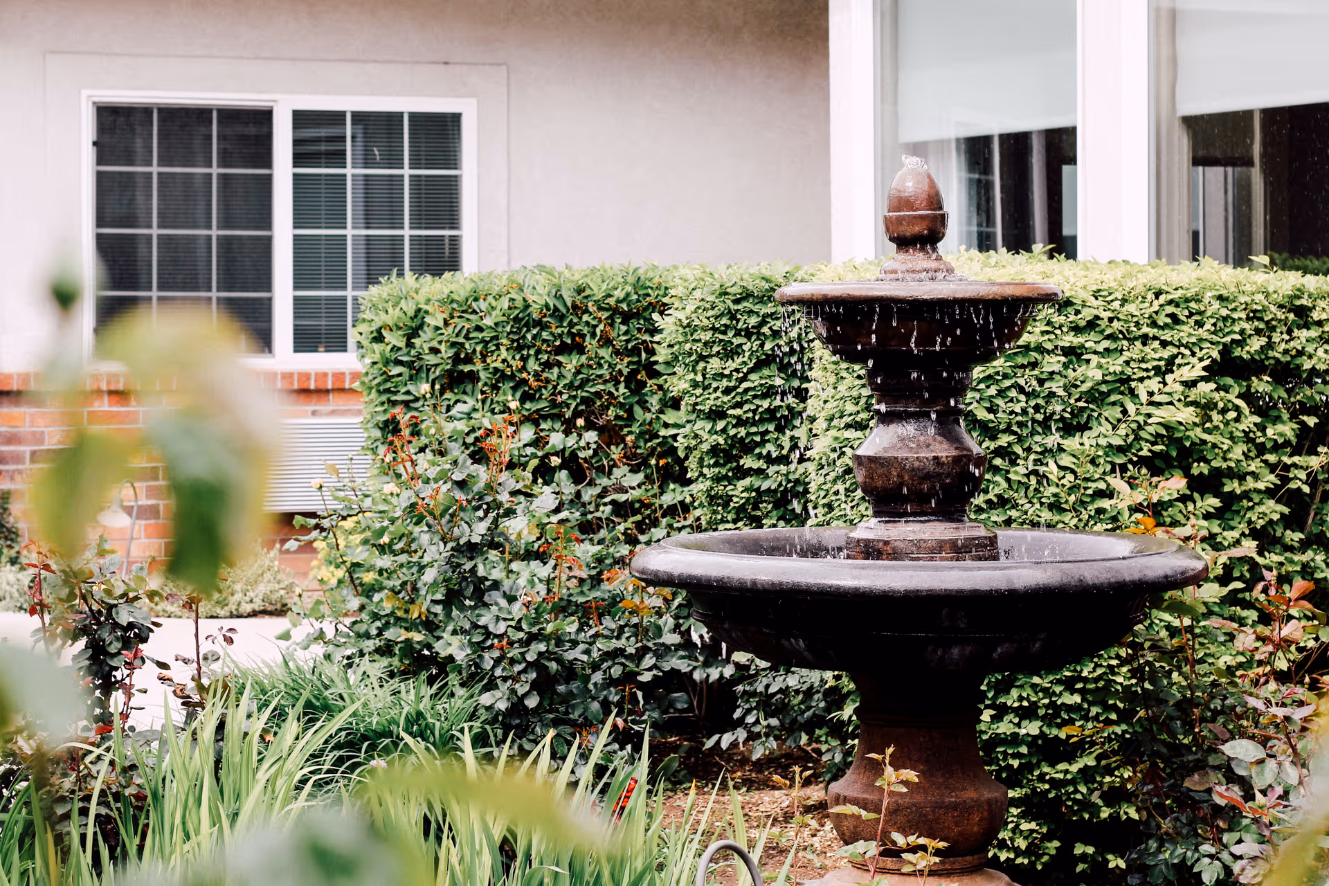 A decorative outdoor water fountain surrounded by green bushes and plants, with a building window and wall in the background.
