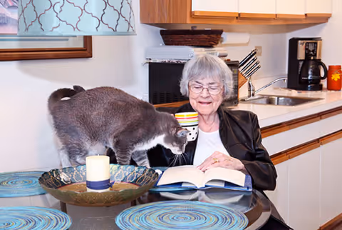An elderly woman with gray hair and glasses sits at a kitchen table reading a book and holding a colorful striped mug. A gray and white cat is on the table near her, sniffing a decorative bowl. The kitchen in the background has white cabinets, a sink, a coffee maker, and a knife block.