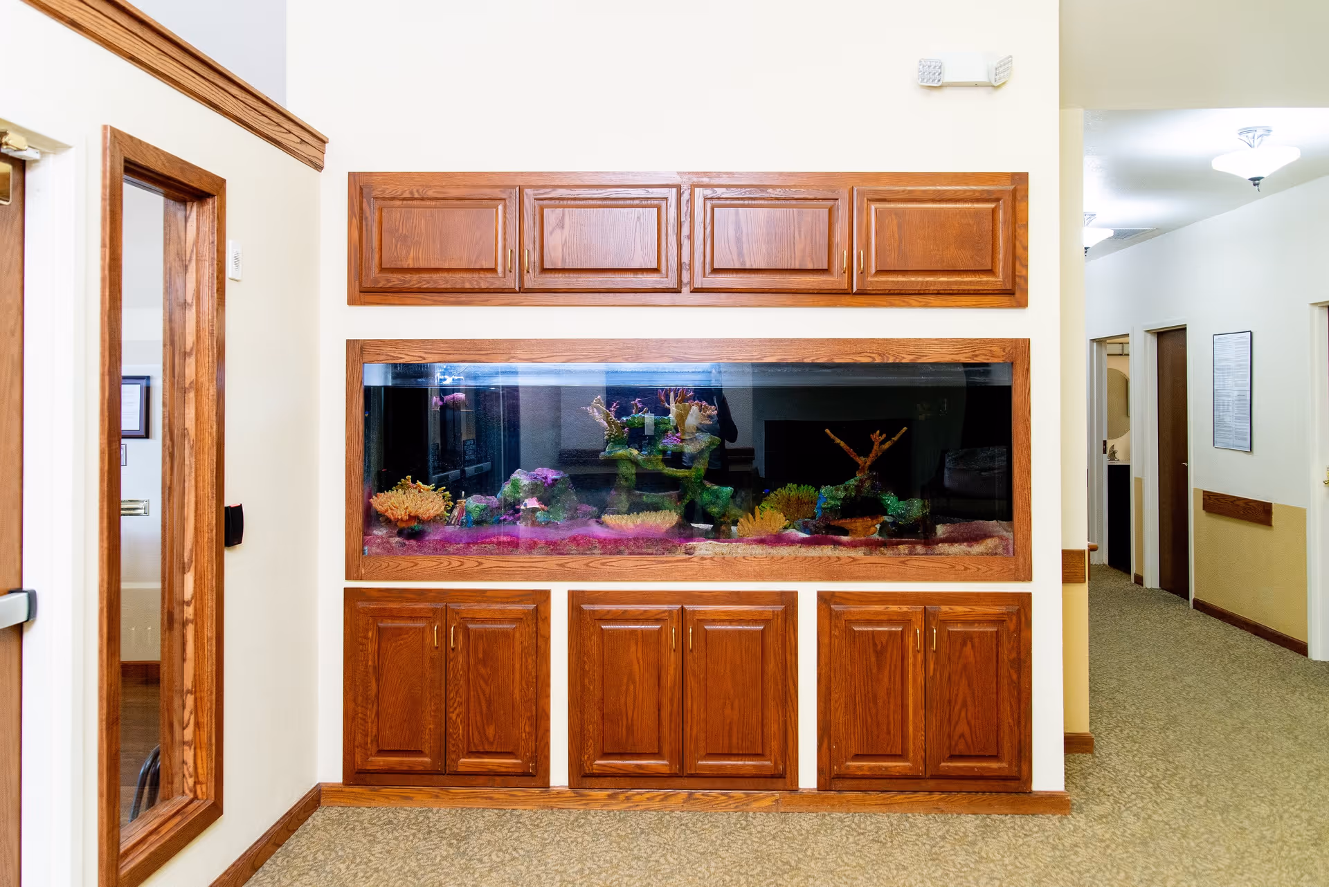 Built-in fish tank with wooden cabinetry set into a hallway wall of a senior living facility.
