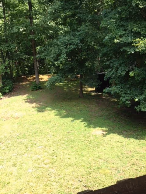 A grassy outdoor area with several large trees providing shade. The ground is mostly covered with green grass, and there is a small dark structure partially visible among the trees on the right side.