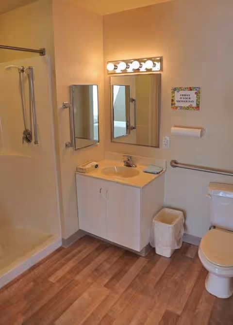 Senior living bathroom with shower, vanity, two mirrors, toilet, and wall-mounted handrails.