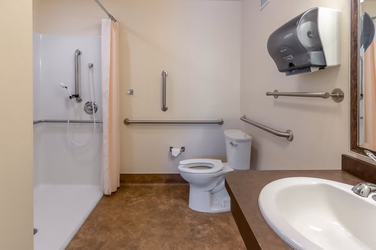 A clean and accessible bathroom with a white toilet, a sink with a brown countertop, a large mirror, a wall-mounted paper towel dispenser, and a walk-in shower with a handheld showerhead and grab bars. The walls are light-colored and there are multiple grab bars installed for safety.