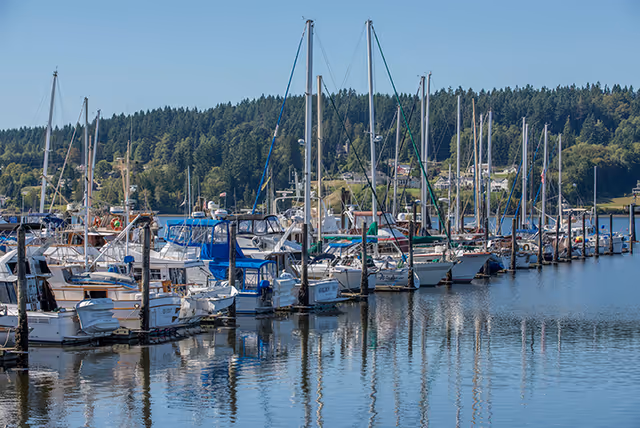 A marina with numerous sailboats and yachts docked in calm water, with a forested shoreline and houses visible in the background under a clear blue sky.