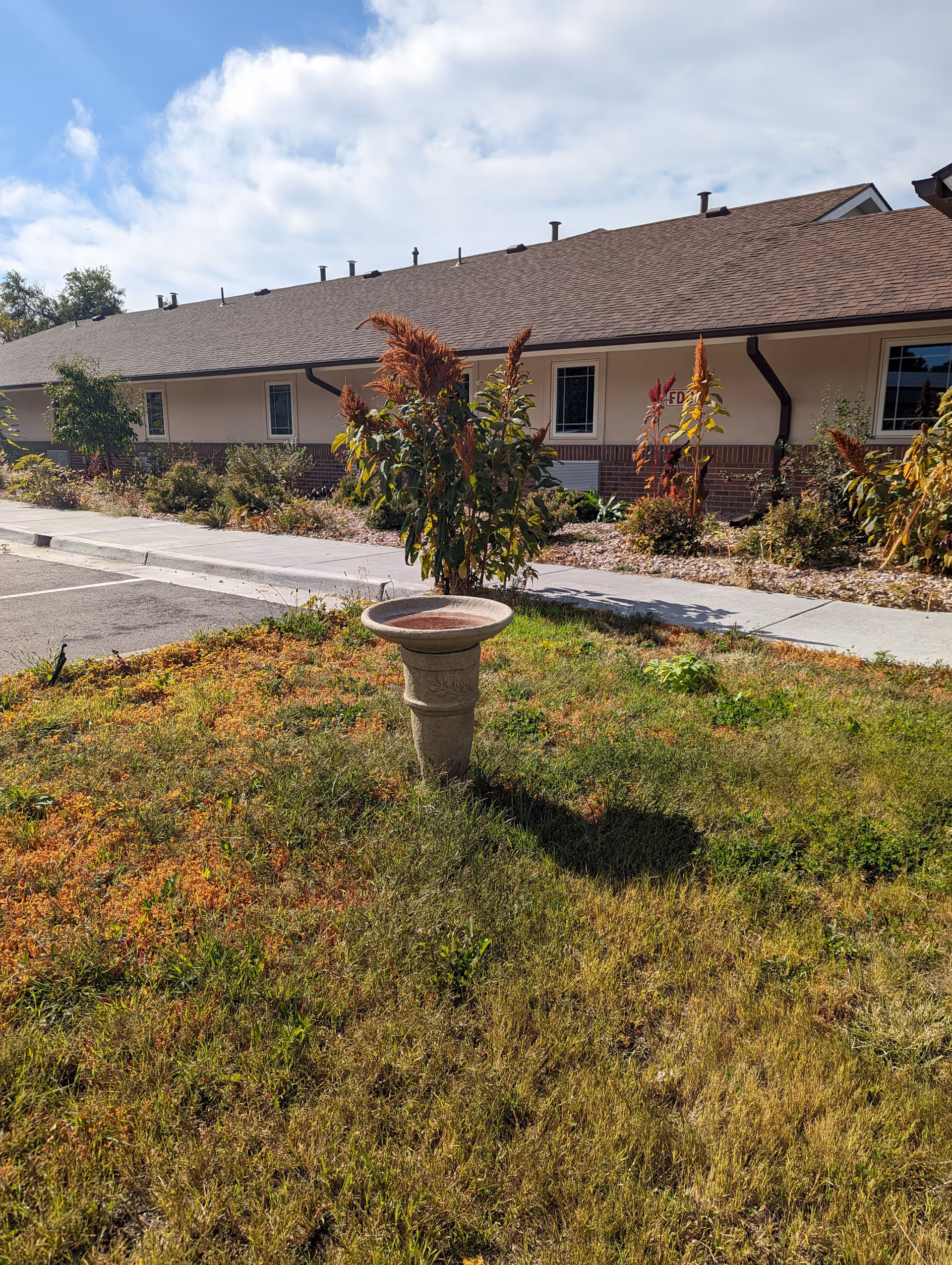 Outdoor view of a grassy area with a birdbath in the center, surrounded by plants and shrubs. In the background, there is a single-story building with a brown roof and beige walls under a partly cloudy sky.