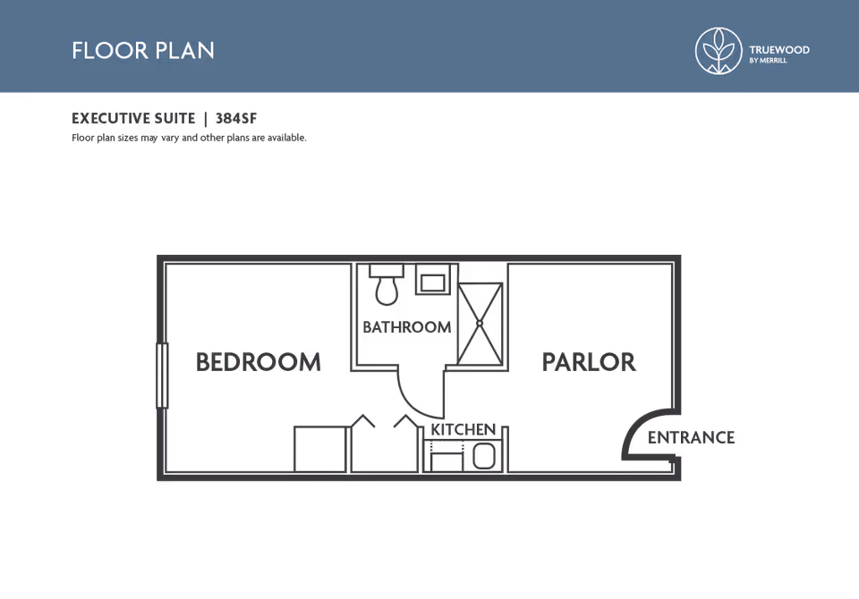 Graphic floor plan of an executive suite showing labeled bedroom, bathroom, kitchen, parlor, and entrance.
