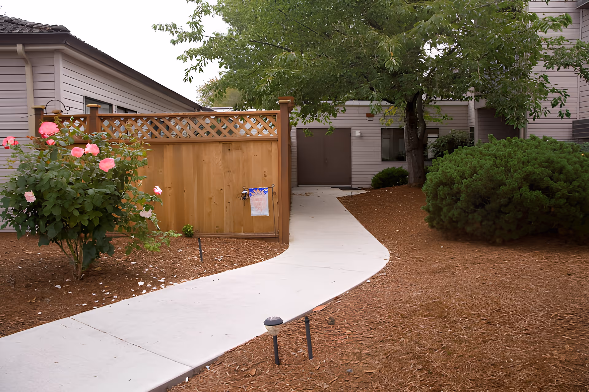 A curved concrete pathway leading to a building entrance surrounded by landscaping including a wooden fence, blooming pink roses, a tree, and green bushes.