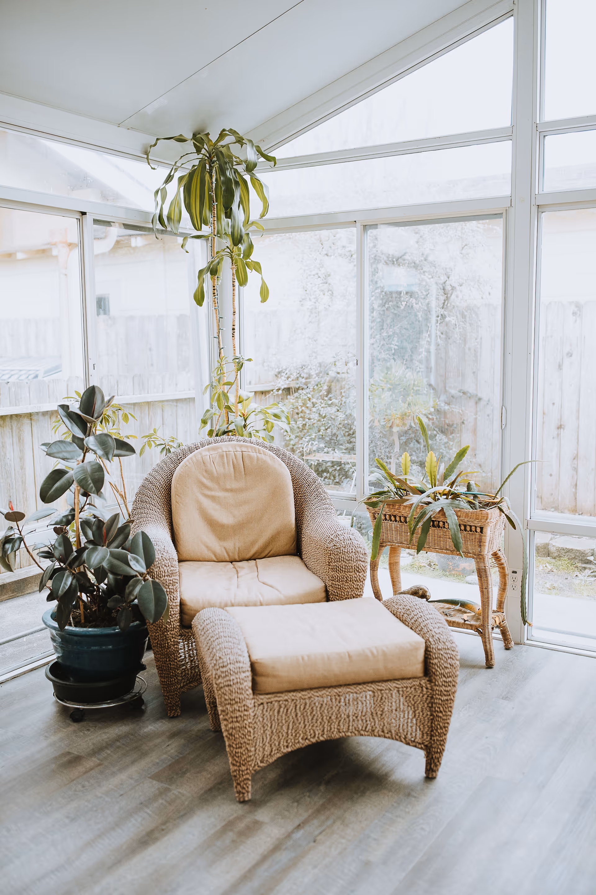 A cozy wicker armchair with beige cushions and a matching ottoman placed in a sunlit room with large windows. Surrounding the chair are several green potted plants, and a wicker plant stand with more plants is positioned nearby. The room has light-colored wooden flooring and offers a view of a fenced outdoor area.