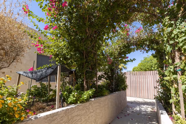 A sunny outdoor garden pathway with a trellis overhead covered in green vines and pink flowers. There are various plants and flowers growing along the sides, with a beige stucco wall on the left and a wooden gate at the end of the path under a clear blue sky.