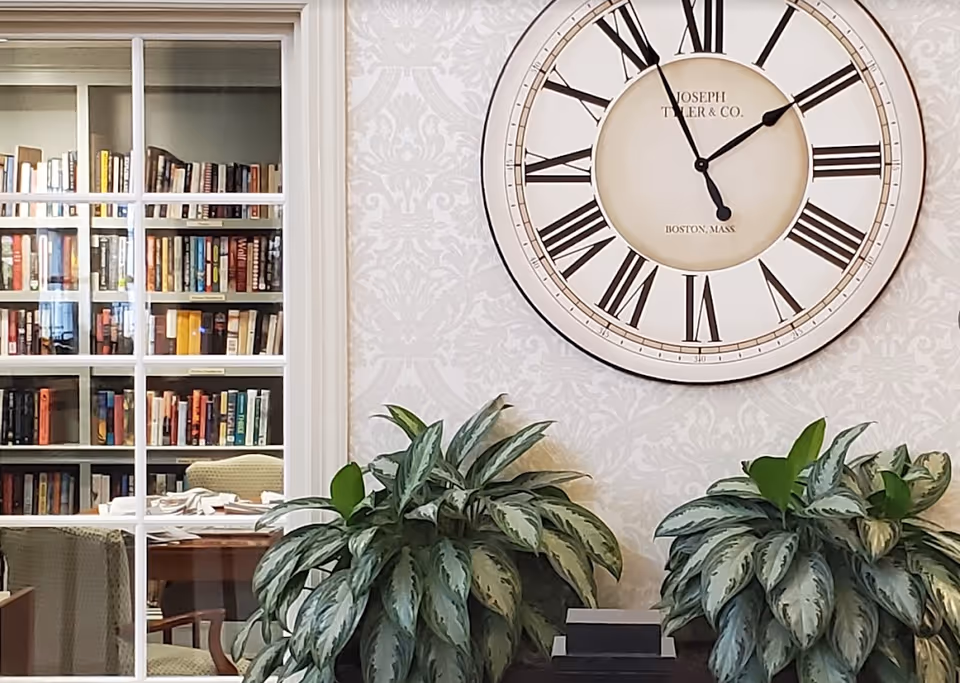 Interior view of a room with a large round wall clock showing the time as 11:10, two large green leafy plants on a dark wooden surface below the clock, and a windowed wall revealing a room filled with bookshelves and a table with chairs.