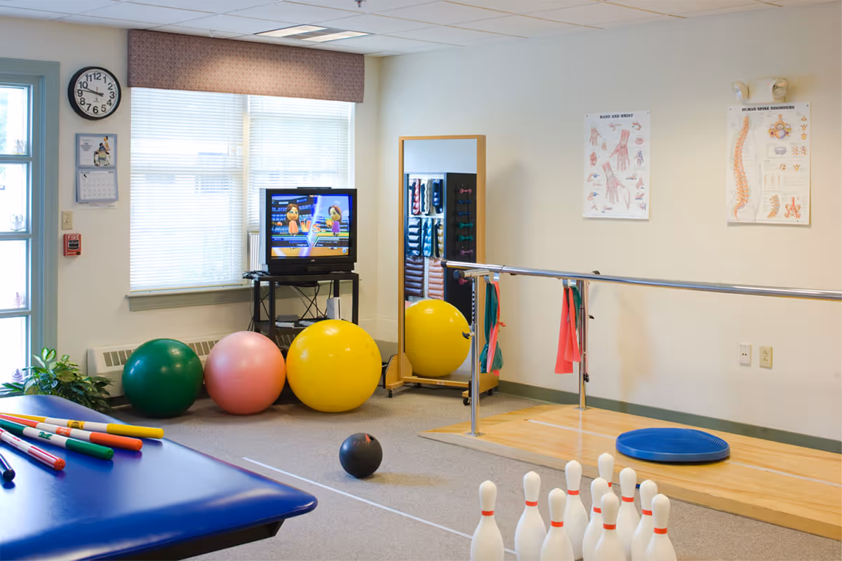 A physical therapy or rehabilitation room with exercise balls, a mirror, a TV on a stand, handrails for walking exercises, anatomical posters on the wall, a balance cushion, and a set of bowling pins and balls.