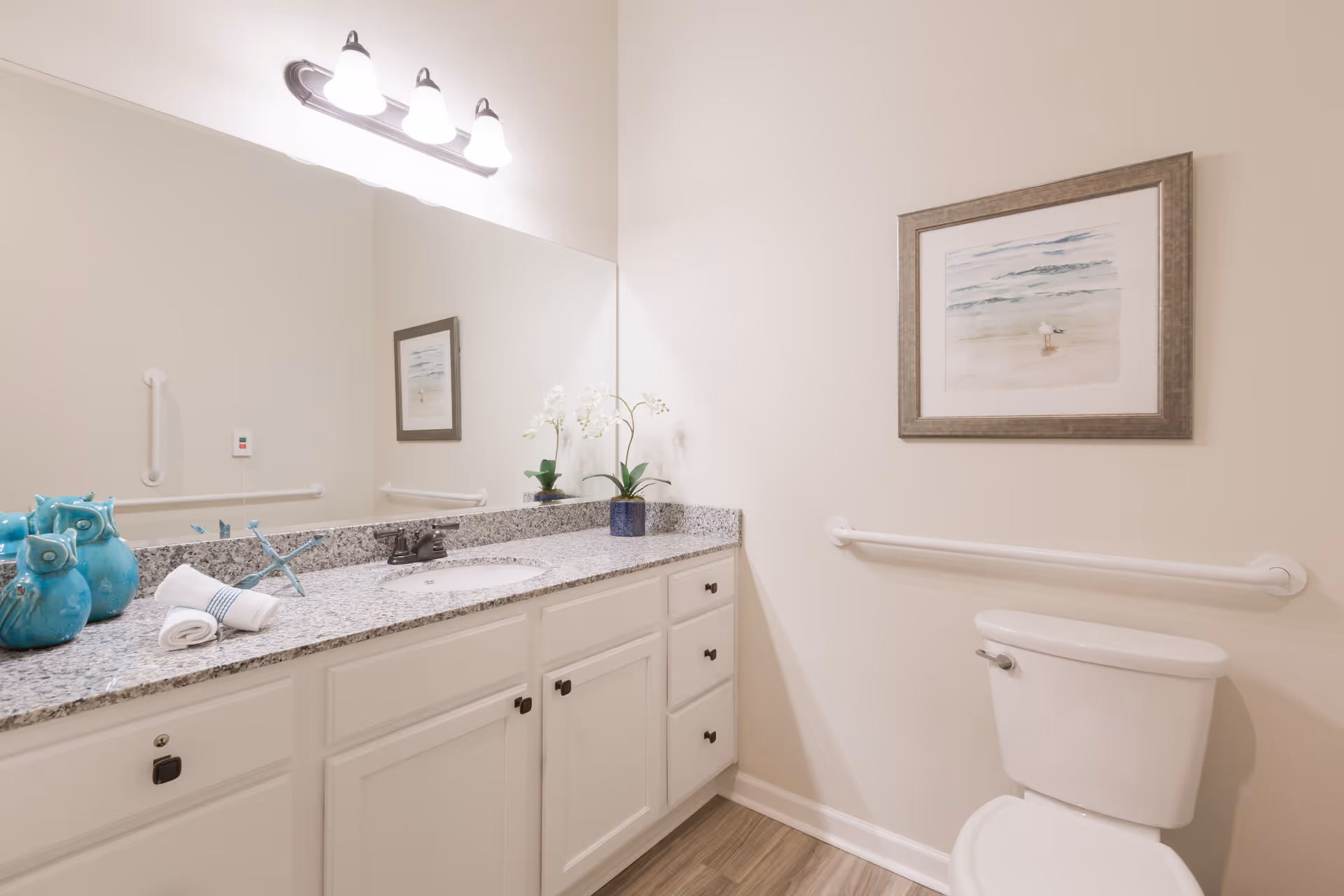 A clean and well-lit bathroom featuring a white toilet with a safety grab bar on the wall beside it. There is a long granite countertop with a sink, decorated with blue ceramic owl figurines, a rolled white towel, and a small plant. Above the sink is a large mirror and a three-light fixture. A framed picture of a beach scene hangs on the wall above the toilet.