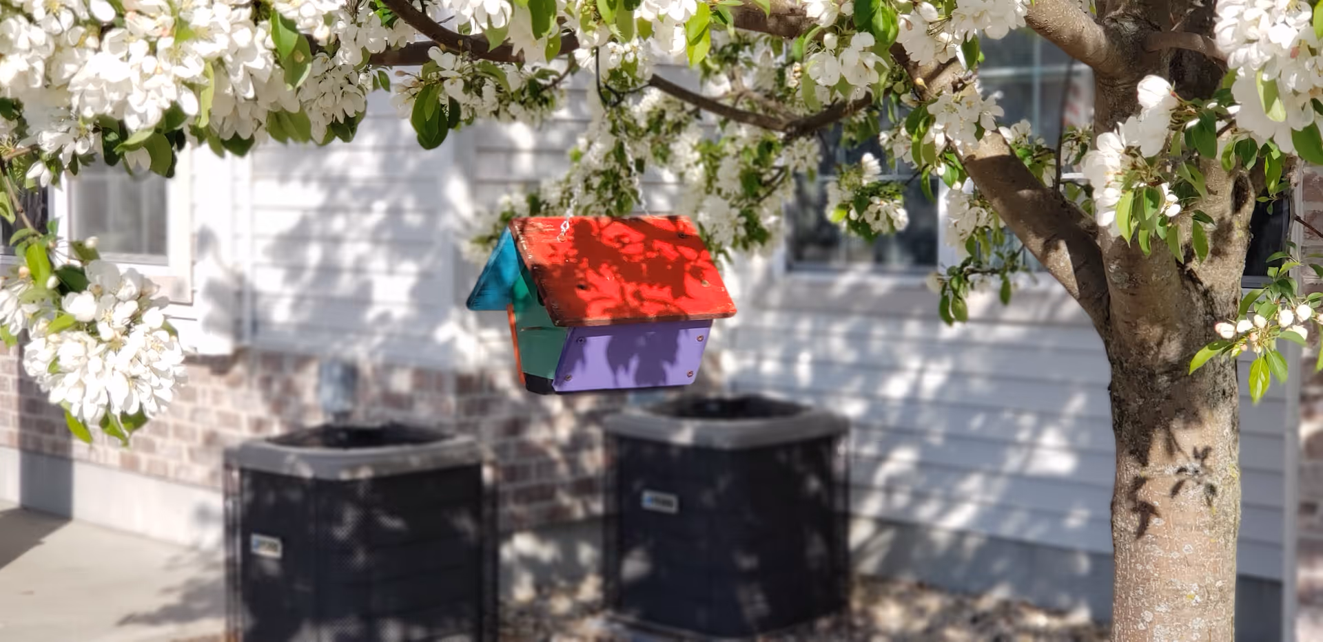 A colorful birdhouse with a red roof, purple base, and teal sides hanging from a blooming tree with white flowers. In the background, there is a white building with brick accents and two black air conditioning units on the ground.