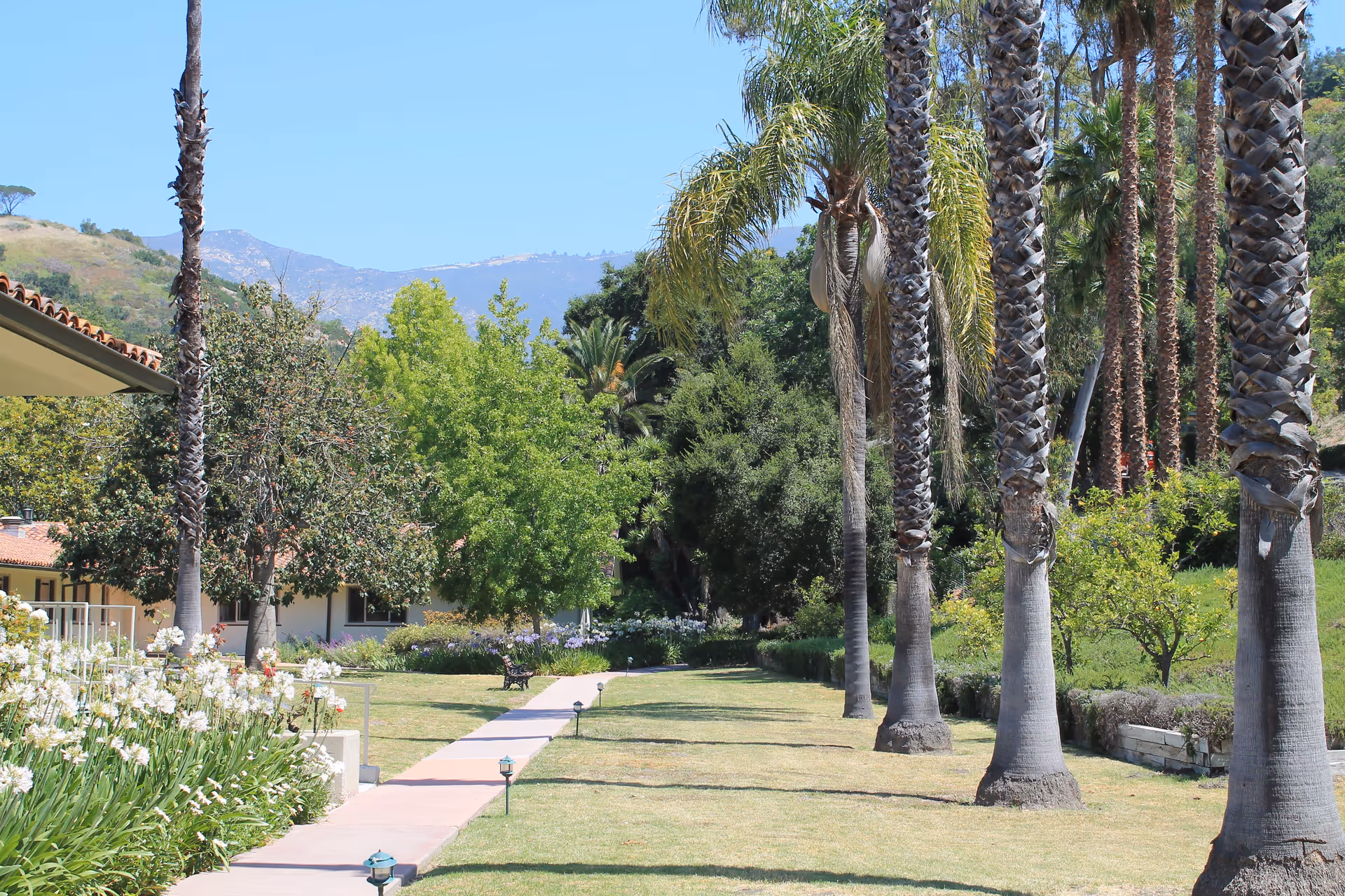 A sunny outdoor garden area at Wood Glen Senior Living featuring a paved walkway lined with small garden lights, tall palm trees on the right, various green trees and bushes, white flowers on the left, and a bench along the path. Hills and mountains are visible in the background under a clear blue sky.