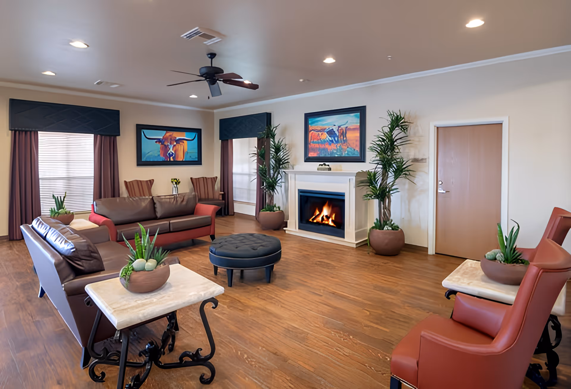 A cozy living room with wooden flooring, two brown leather sofas, two red armchairs, a round black ottoman, and a white fireplace with a fire burning. The room has two large windows with dark valances and curtains, two colorful paintings of bulls on the walls, several potted plants, and a ceiling fan with lights.