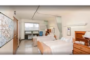 A bright and clean rehabilitation center room with two single beds, each with white bedding and light brown blankets. The room features a large window with a view outside, a wooden dresser with a lamp and telephone, a chair, and a large piece of floral artwork on the wall. A privacy curtain is partially drawn between the beds.
