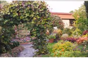 A lush garden area with a stone pathway leading through an archway covered in green vines. Surrounding the path are various colorful flowers and plants, with a building partially visible in the background.