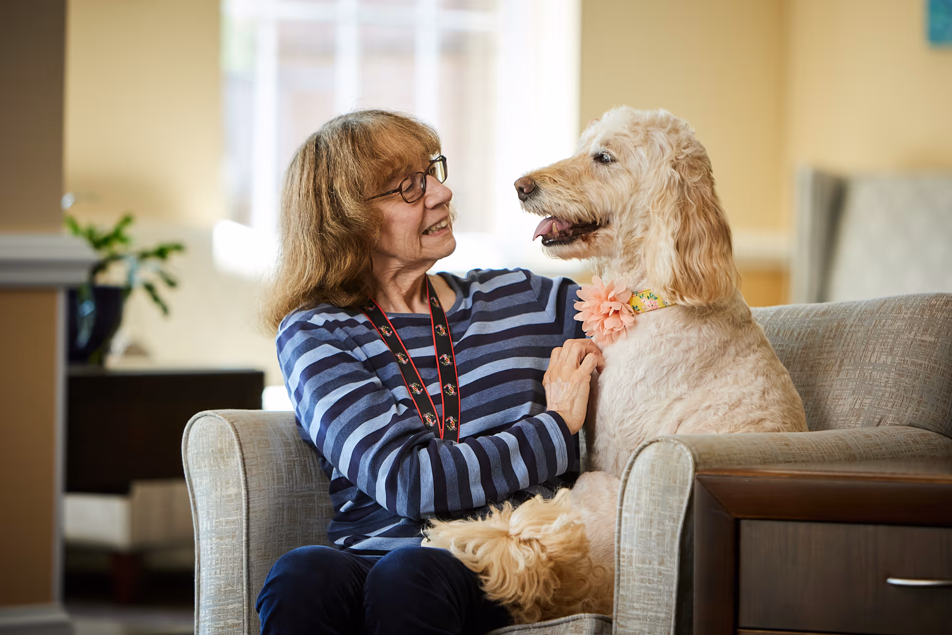An elderly woman wearing glasses and a striped shirt sits on a beige armchair indoors, smiling and looking at a large cream-colored dog with a floral collar sitting on her lap.