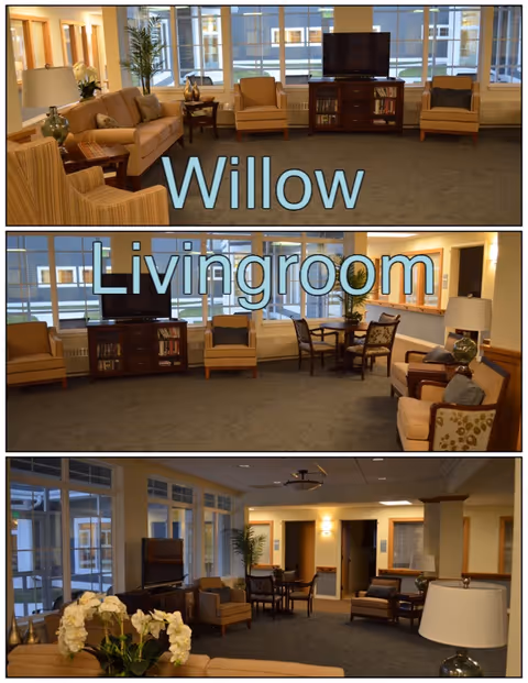 Three views of the Willow Livingroom in Sheboygan Senior Community showing a spacious common area with multiple seating options including sofas, armchairs, and small tables. The room has large windows allowing natural light, a television on a wooden stand with shelves of books, decorative plants, and lamps providing a warm and inviting atmosphere.