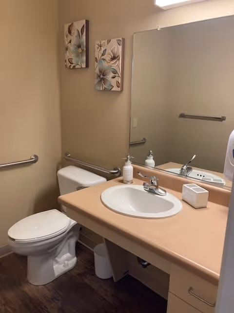 A clean and accessible bathroom with a white toilet, beige countertop with a white sink, a soap dispenser, and a small container. There are two floral paintings on the beige wall and a large mirror above the sink. Grab bars are installed near the toilet and on the wall beside the sink. The floor has a dark wood finish.