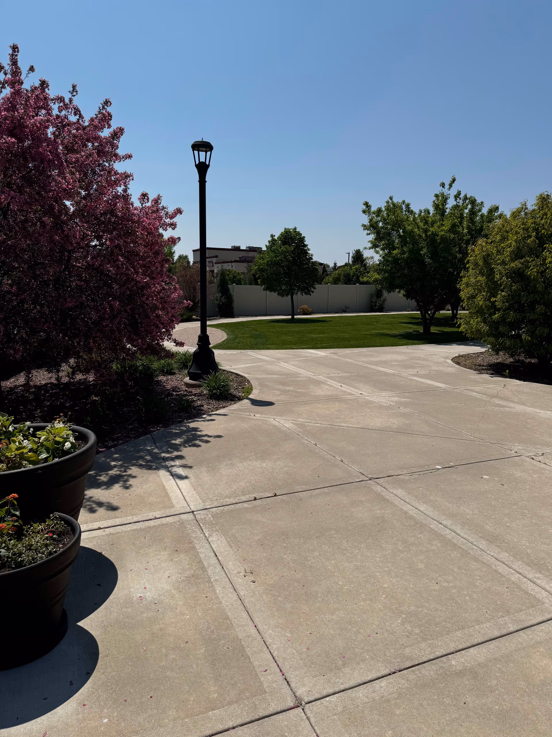 A sunny outdoor pathway with concrete pavement surrounded by green grass, trees, and flowering bushes. There is a black lamppost near the center of the image and large flower pots with plants on the left side.