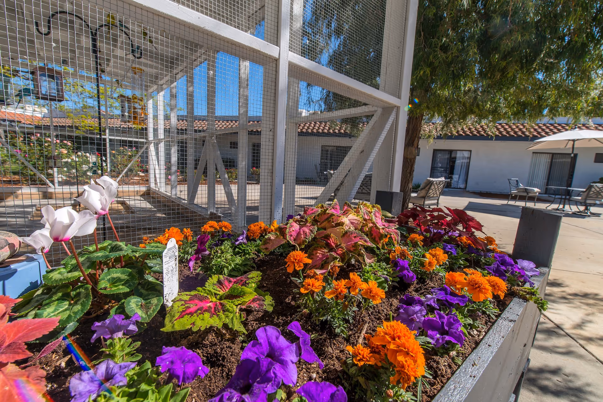 Colorful flower-filled planter in a sunny courtyard by a screened structure and patio seating at an assisted living facility.
