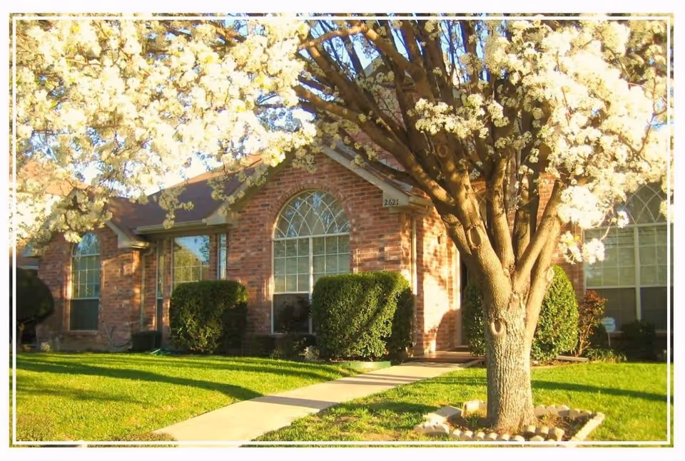 Front exterior view of a single-story brick building with large arched windows, neatly trimmed bushes, a concrete walkway, and a tree with white blossoms in the foreground.