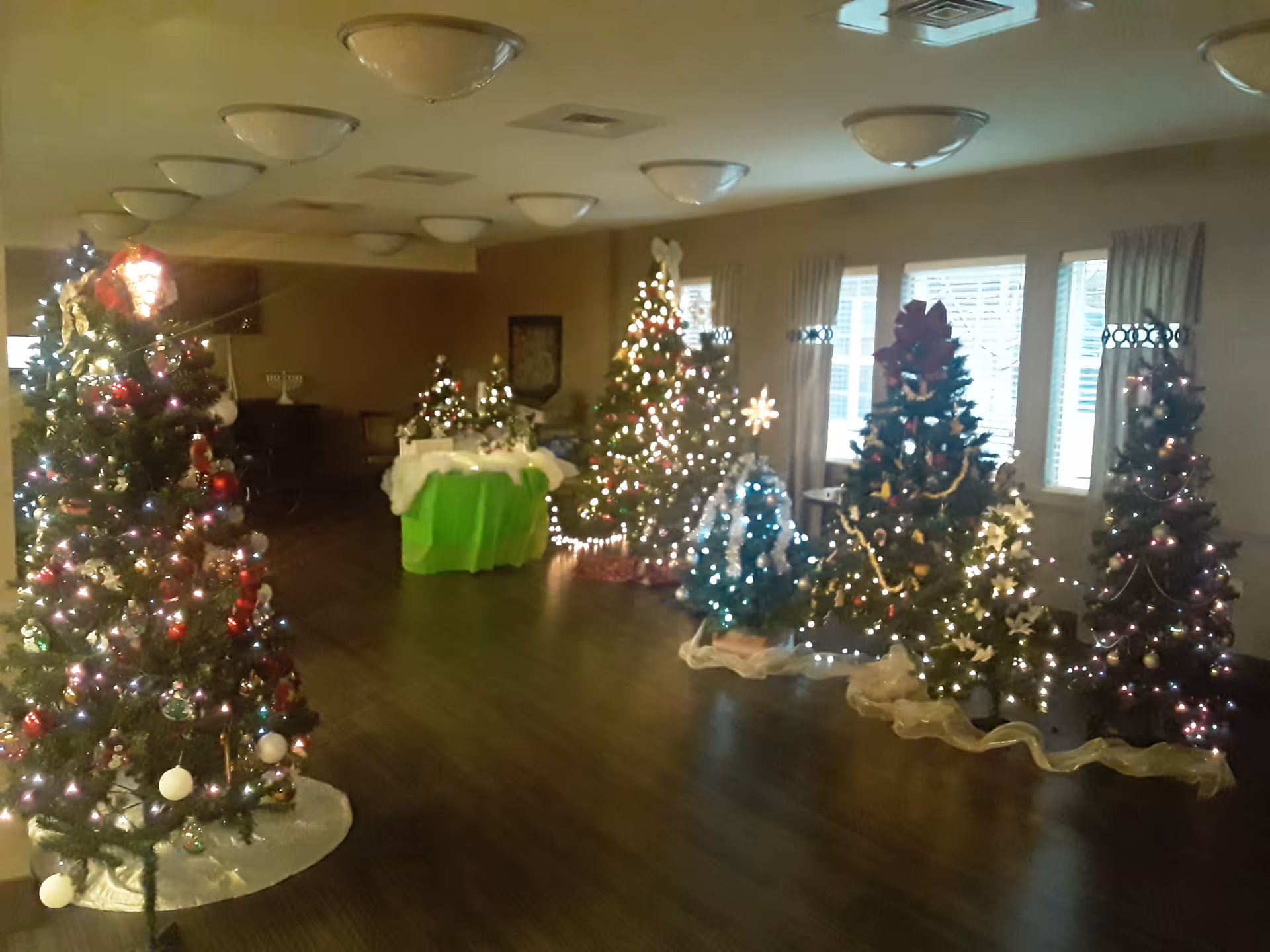 Interior room decorated with multiple Christmas trees adorned with lights and ornaments. The room has wooden flooring, ceiling lights, and windows with curtains letting in natural light.
