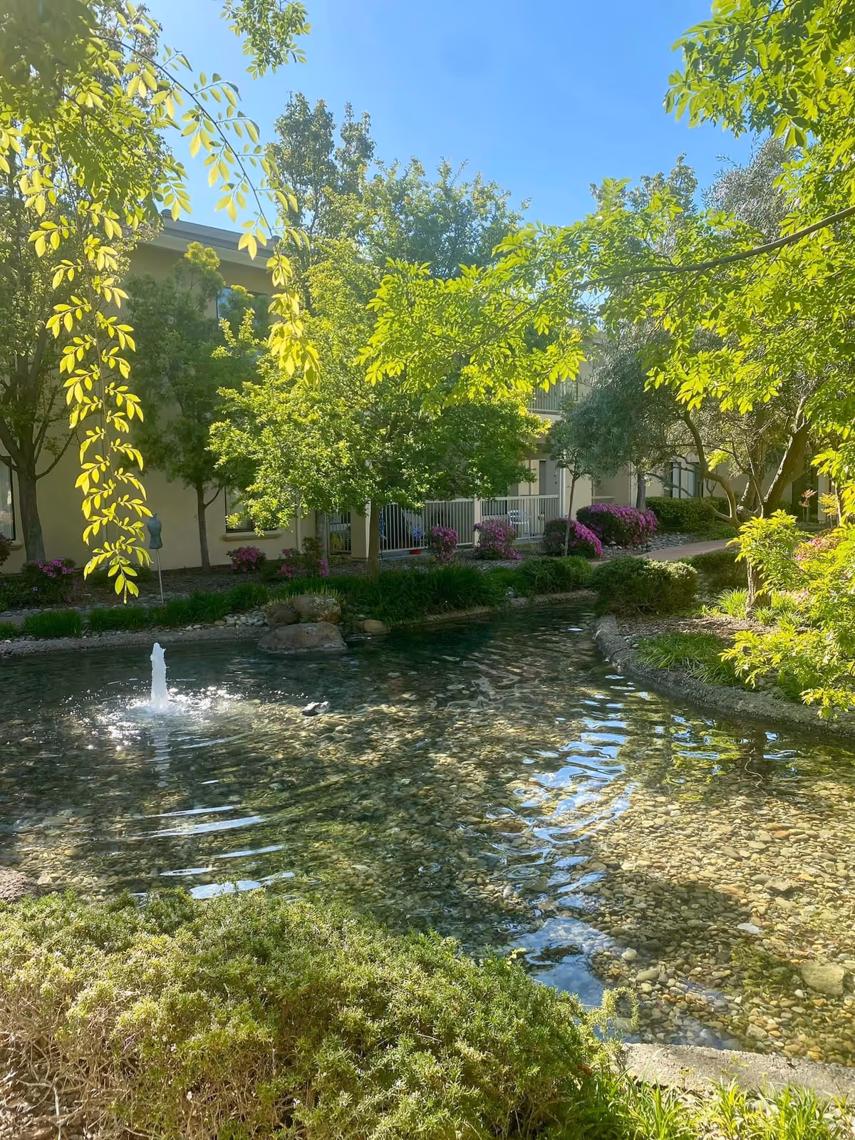 A serene outdoor garden area at Winding Commons Senior Living featuring a clear pond with a small water fountain, surrounded by lush green trees, bushes, and flowering plants. A building with balconies and a walkway is visible in the background under a clear blue sky.