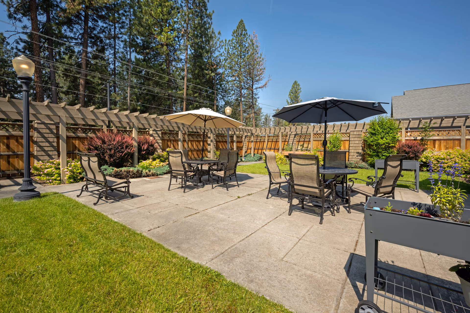 Outdoor patio area with two round tables, each surrounded by four chairs and shaded by large umbrellas. The patio is paved with concrete slabs and bordered by green grass and a wooden fence with trellis. There are various plants and shrubs along the fence, and tall pine trees are visible in the background under a clear blue sky.