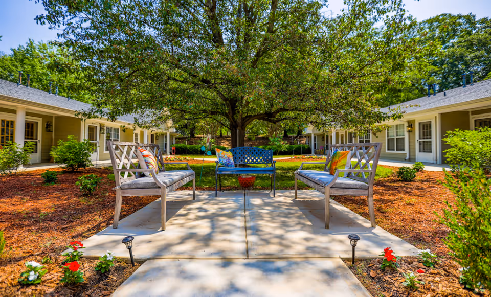 Outdoor seating area with two wooden benches and one metal bench with colorful cushions arranged around a large tree in the center. The area is surrounded by mulch, small plants, and flowers, with single-story buildings in the background under a clear blue sky.