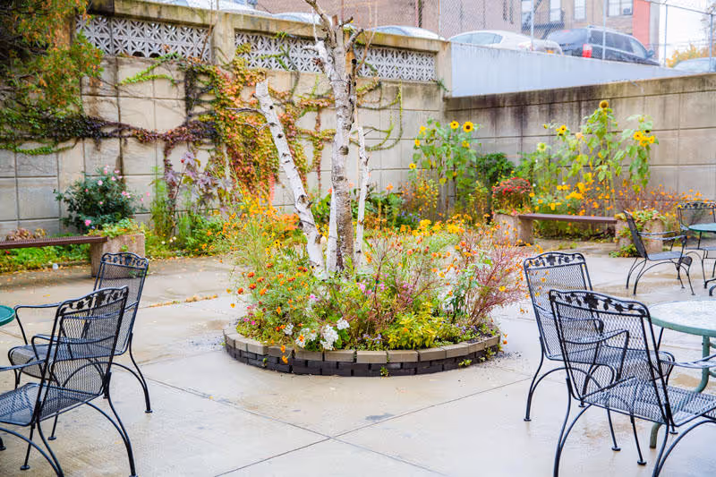 Outdoor patio area with black metal chairs and tables surrounding a circular garden bed with a birch tree and various colorful flowers. The area is enclosed by a concrete wall with some climbing plants and parked cars visible beyond the wall.