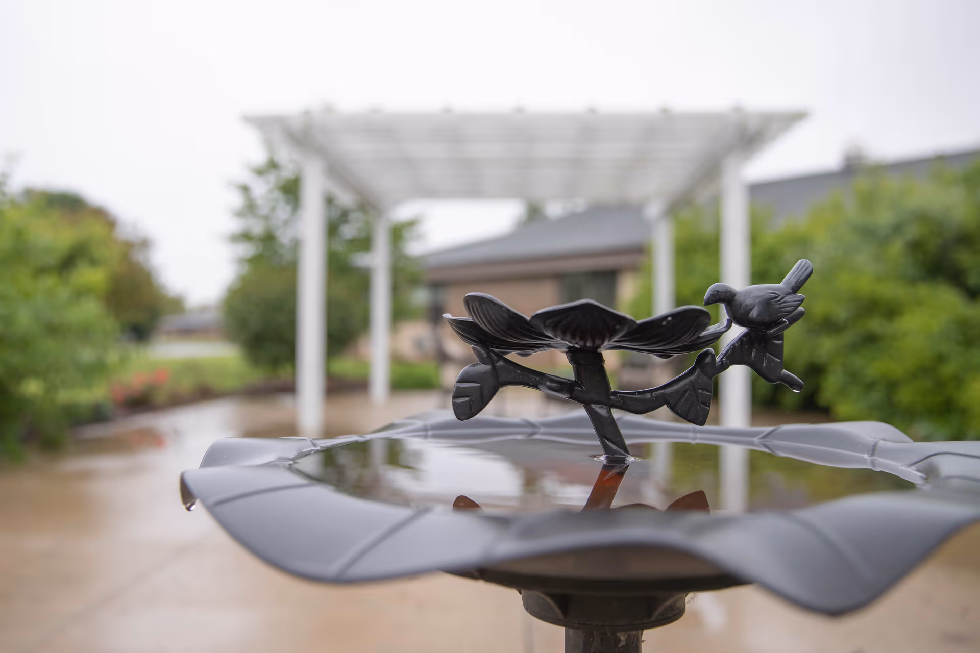 Close-up of a decorative birdbath with a metal flower and bird sculpture in an outdoor garden area, with a white pergola and greenery in the background on a cloudy day.
