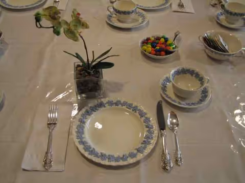 Formal dining table setup with blue-rimmed plates, utensils, napkin, and a small plant centerpiece.