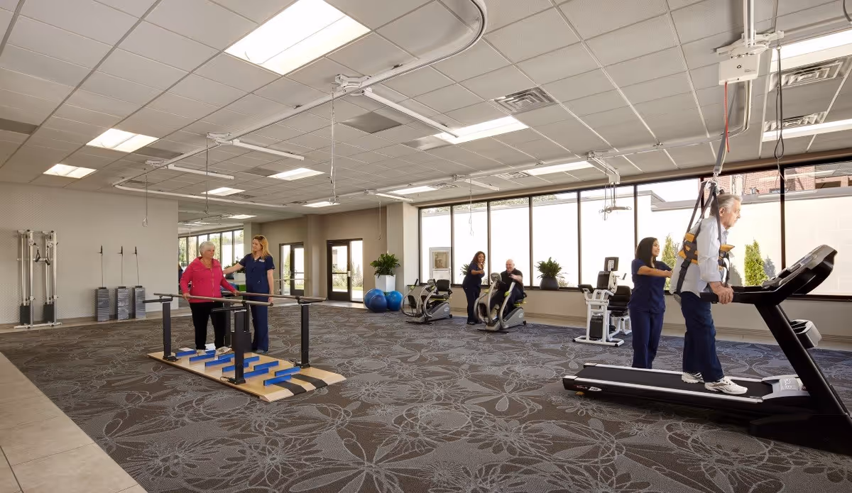 A spacious rehabilitation gym with large windows letting in natural light. An elderly man is walking on a treadmill with a harness for support, assisted by a staff member in blue scrubs. On the left, an elderly woman is practicing walking on a balance beam with parallel bars, supported by another staff member. In the background, two more staff members are assisting an elderly man on exercise bikes. The room has patterned carpet and exercise equipment like stability balls and weight stacks.