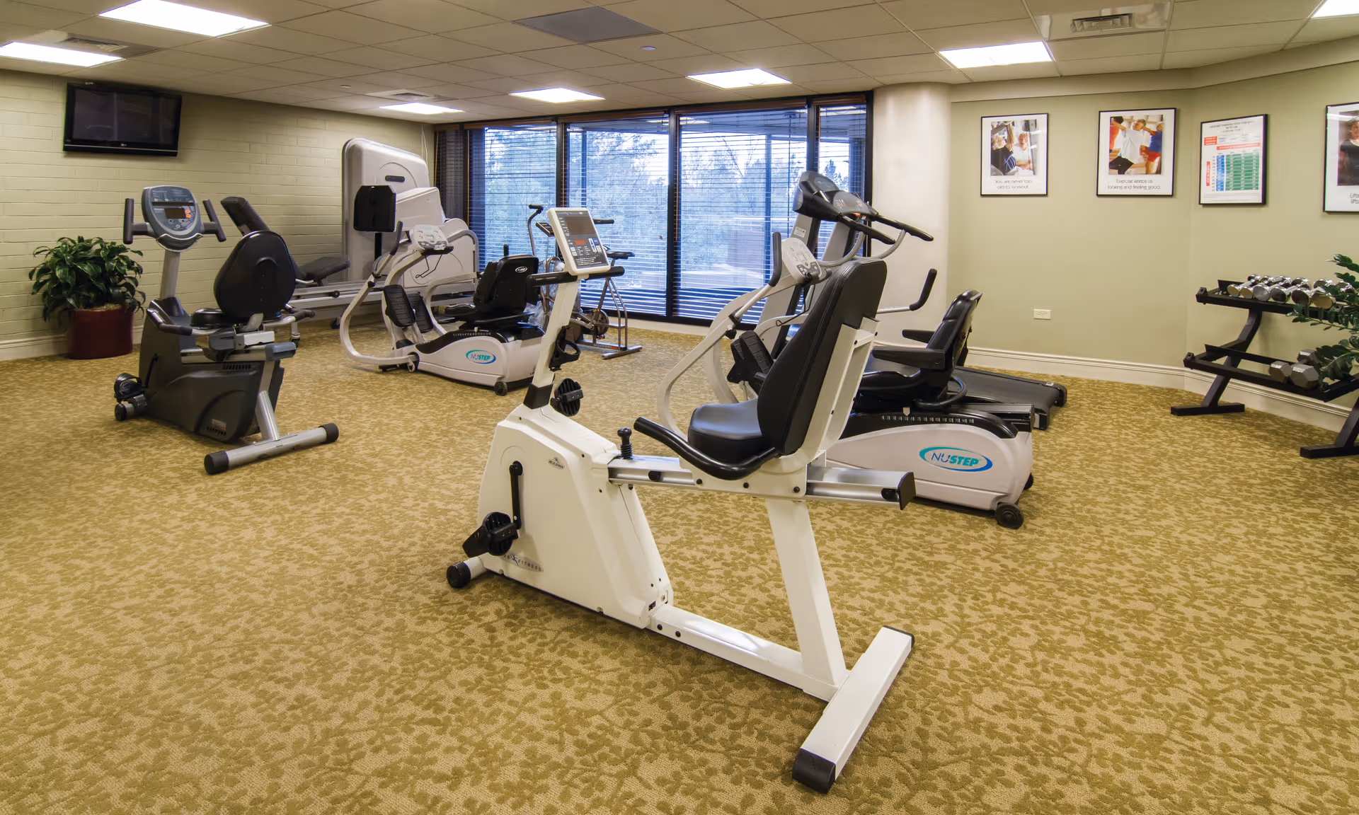 Well-lit fitness room with several stationary bikes, treadmills, a rack of dumbbells and large windows.